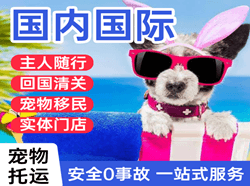 义乌机场空运国际宠物托运 【国
